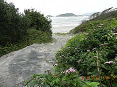 DSCN1833