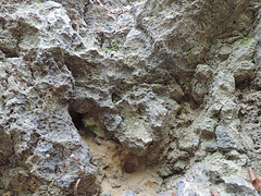 Gipsfelsen am Bodengeopfad