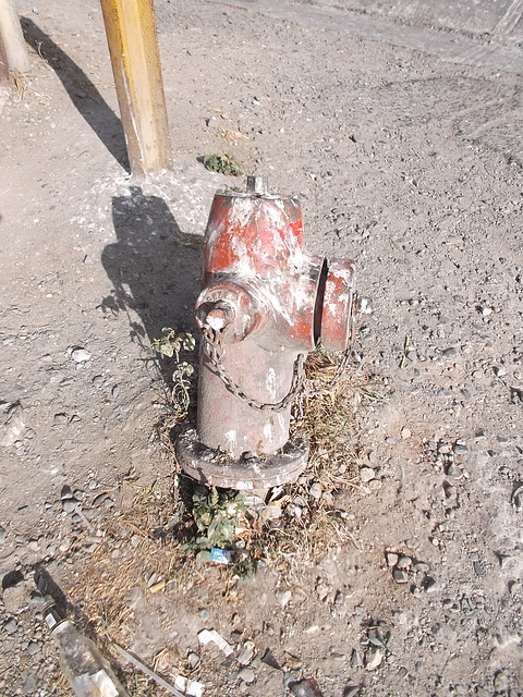 Borne à incendie panaméenne /  Central America's hydrant.