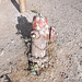 Borne à incendie panaméenne /  Central America's hydrant.