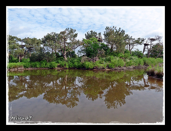 PARC du TEICH