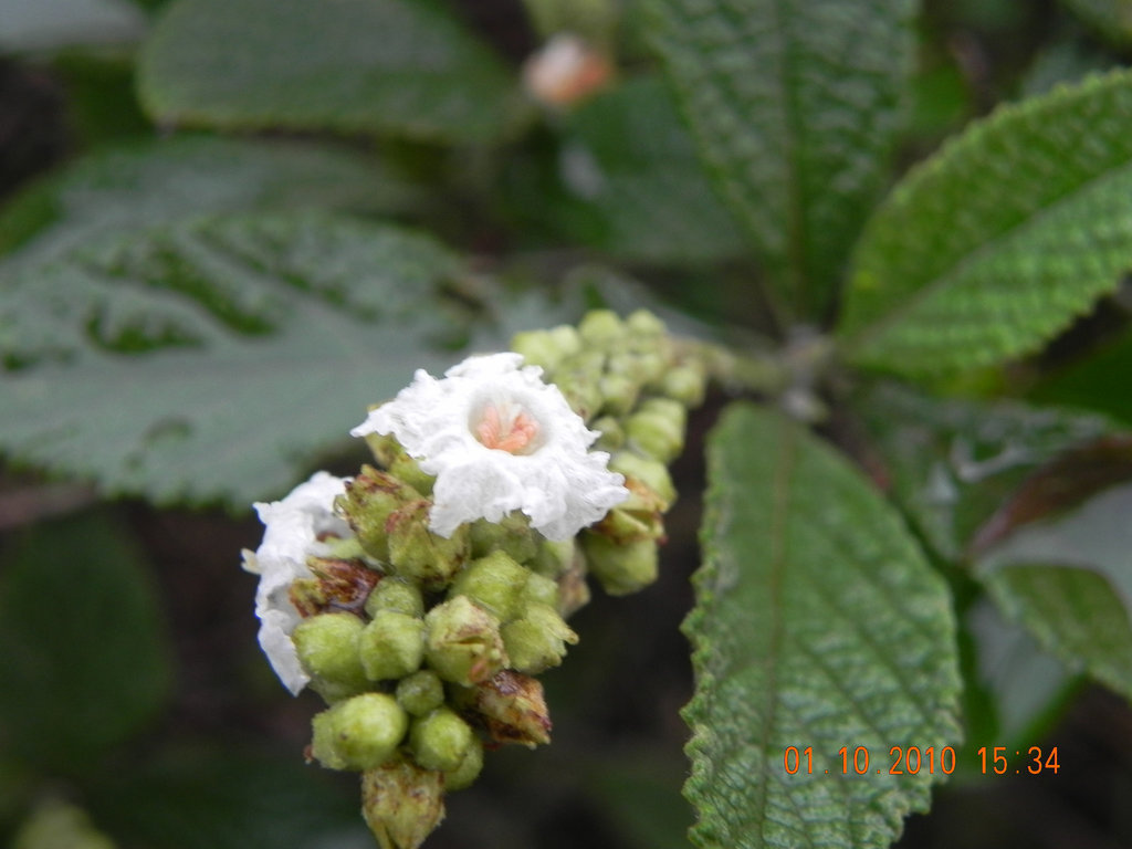 DSCN1869