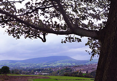 Pendle view.