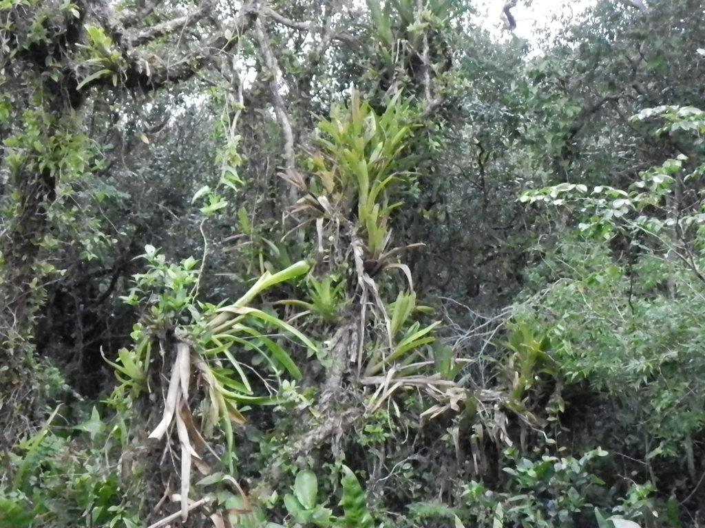 DSCN1890