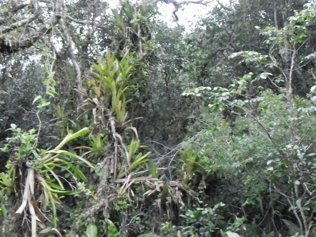 DSCN1906