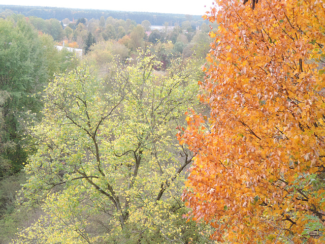 Herbst in den Gipsbrüchen Sperenberg