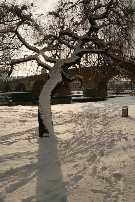 snowy stone bridge of regensburg