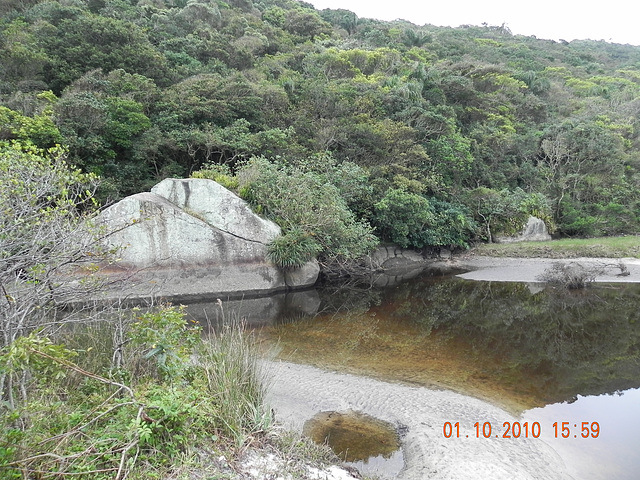 DSCN1946