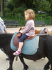 Clémence sur son poney