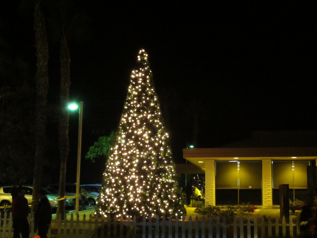 DHS Christmas Tree Lighting (1383)