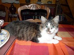 minouche