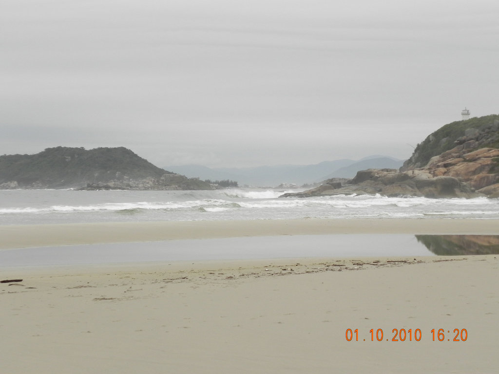 DSCN1992