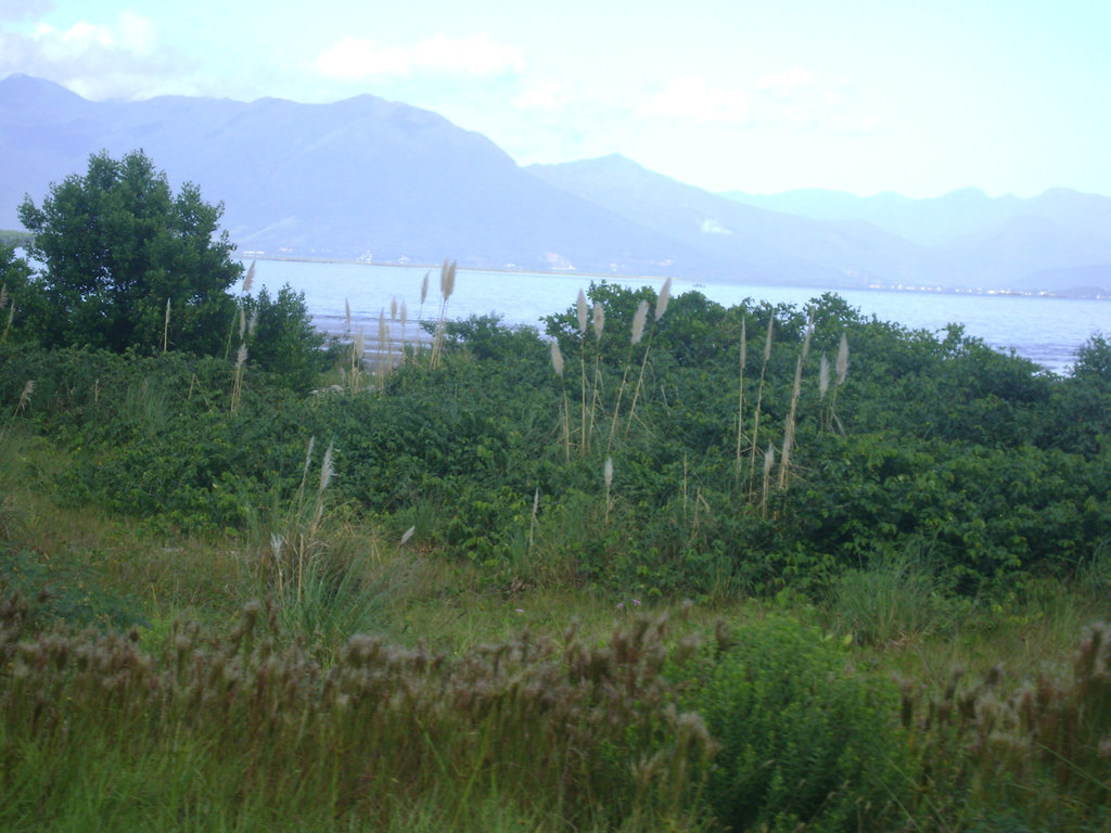 DSC05843