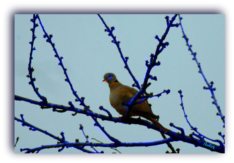 harmonie en bleu pour changer