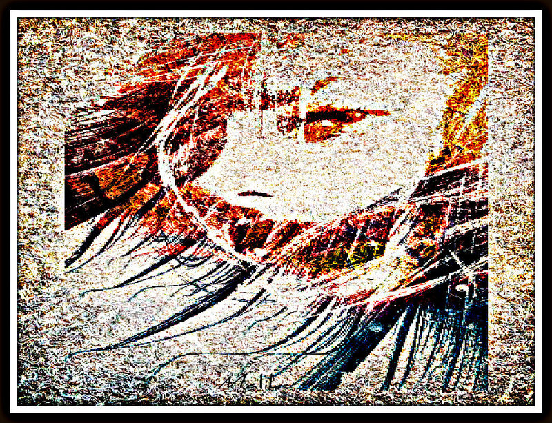 coucher de soleil /2
