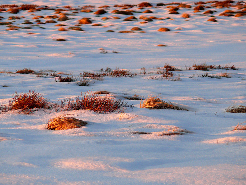 de neige et de feu sur les crêtes