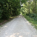 Forêt de Villefermoy