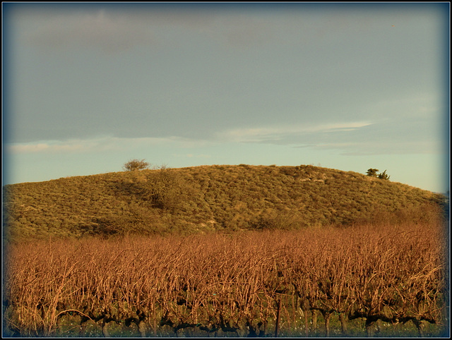 colline