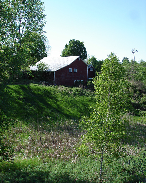 Ferme et verdure ensoleillée / Farm and sunny greenery - May 24th 2009