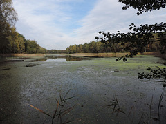 Faules Luch (Torf) - Sperenberg