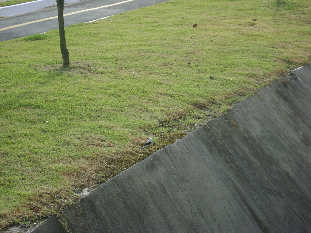 DSC05573