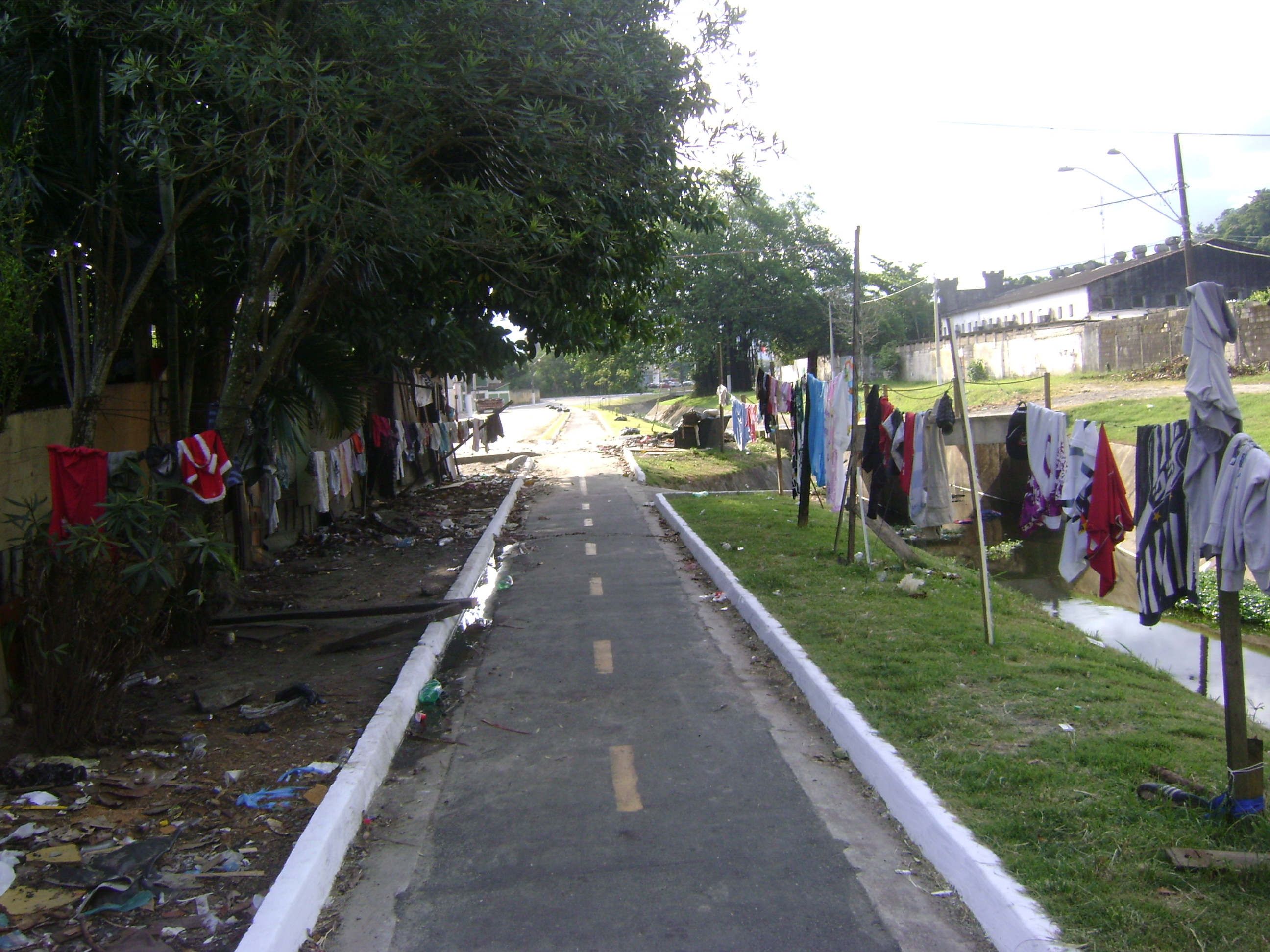 DSC05599