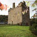 Needpath Castle, Peebles, Scotland