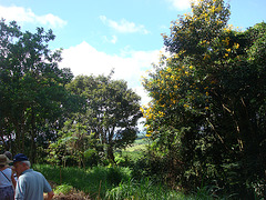 DSC05201