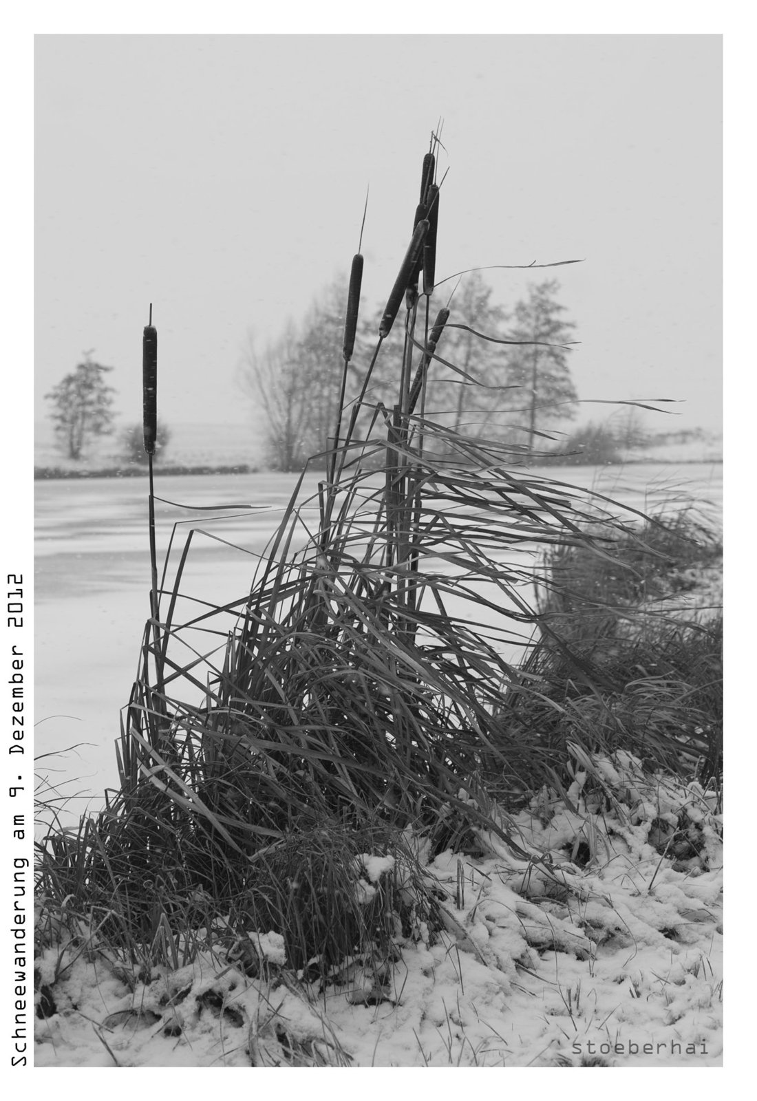 Snowy hike-tour around Wiesenbronn