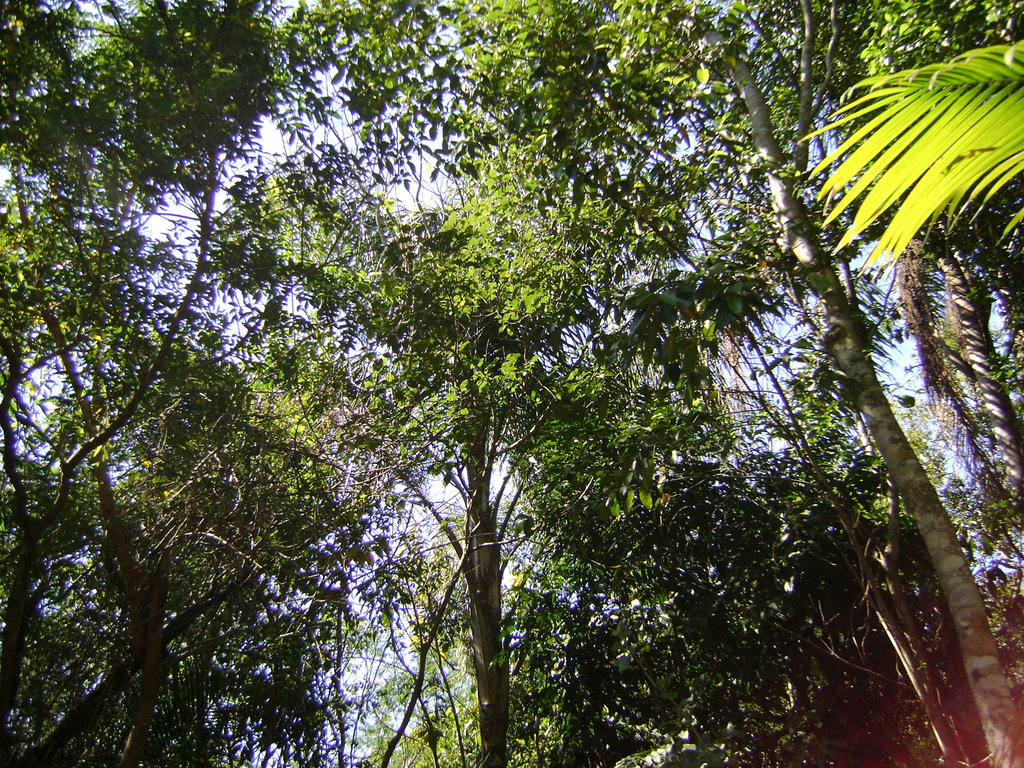 DSC00006