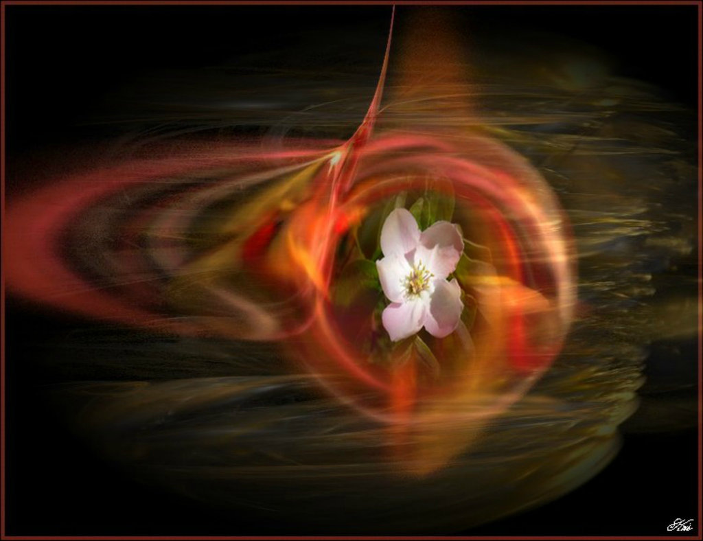 Cueillons nous ................du regard