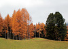 Herbstlandschaft