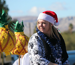 DHS Holiday Parade 2012 (7701)