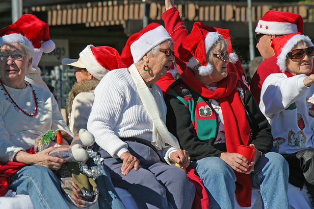 DHS Holiday Parade 2012 (7809)