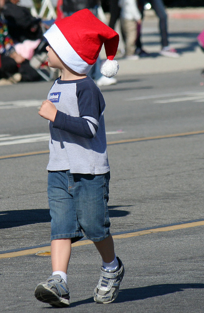 DHS Holiday Parade 2012 (7816)