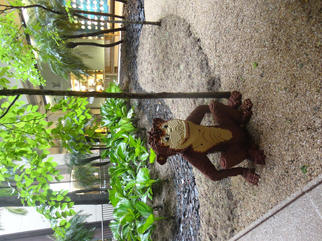 DSC01793