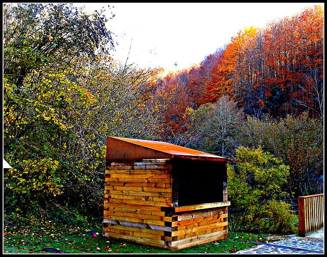 Otoño en la selva de Irati (Navarra)-6