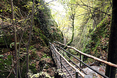 Rastenbachklamm