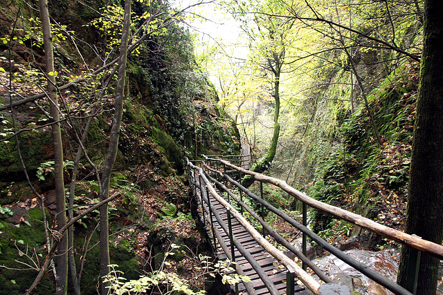 Rastenbachklamm