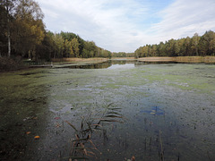 Faules Luch (Torf ) /DAV Gewässer in Sperenberg