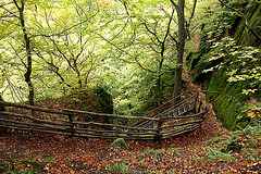 Einstieg in de Rastenbachklamm