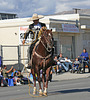 DHS Holiday Parade 2012 (7901)