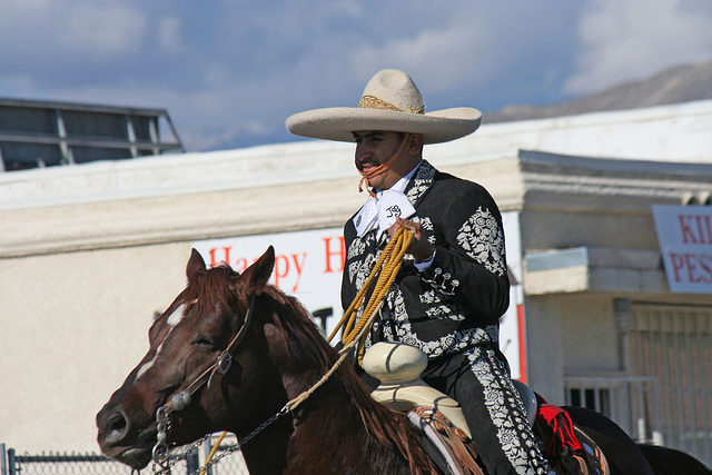 DHS Holiday Parade 2012 (7902)