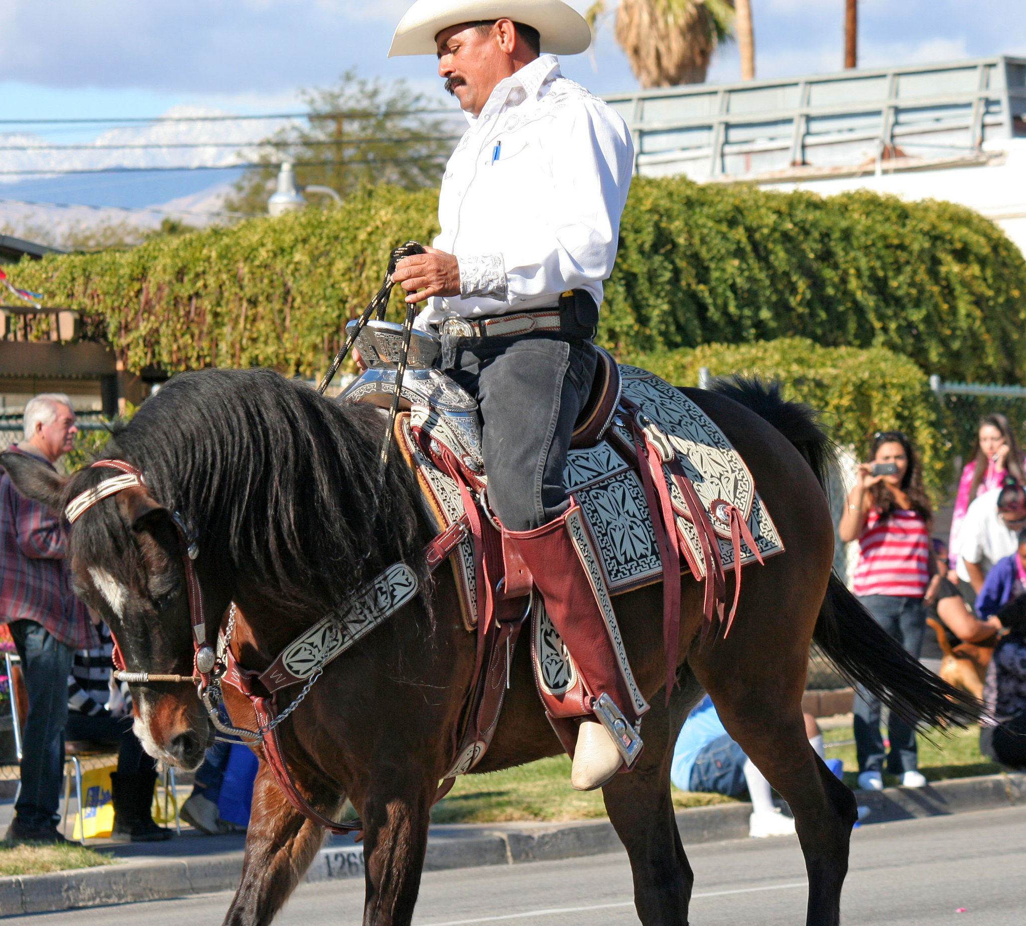 DHS Holiday Parade 2012 (7913)