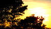 DSCF7163