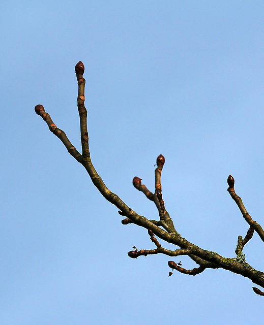 Warten auf den Frühling