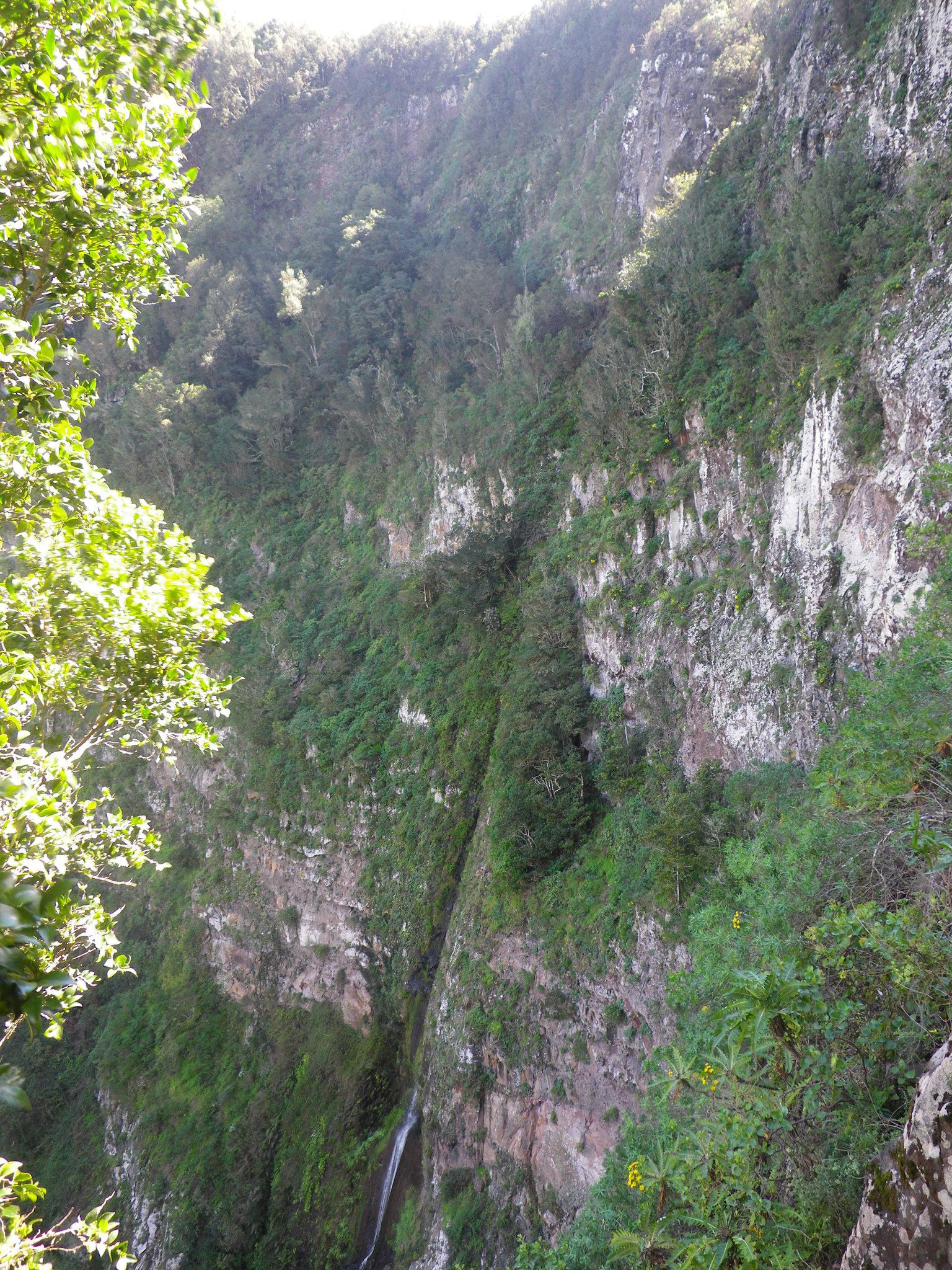 IMGP4796