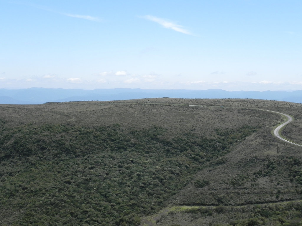DSCN0005-3
