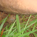 DSC00095