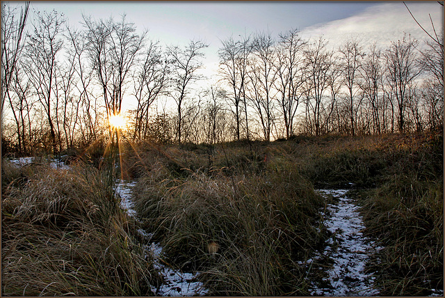 Rayons du soir